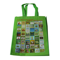 徐汇LB11覆膜无纺布广告袋